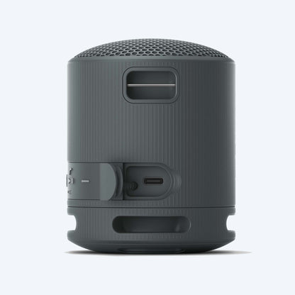 Sony SRS-XB100 Portable Wireless Speaker