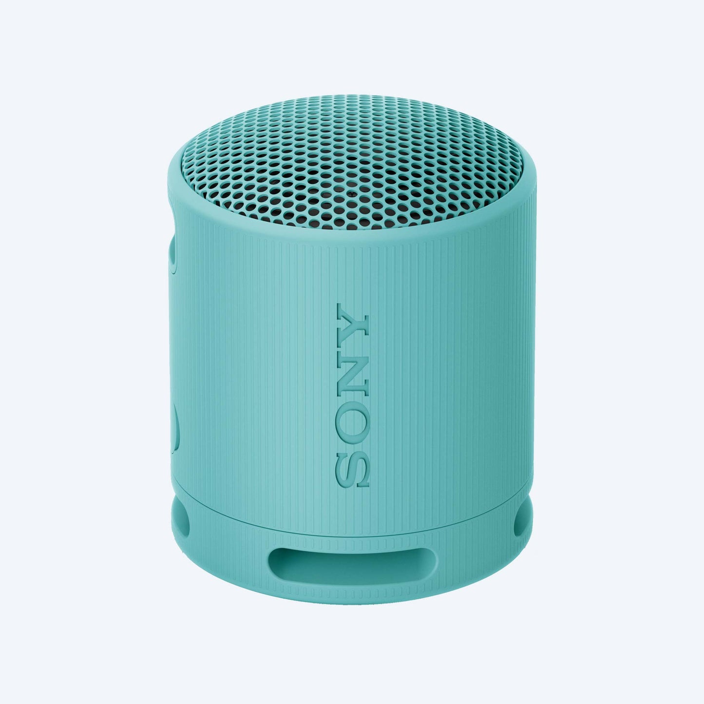 Sony SRS-XB100 Portable Wireless Speaker