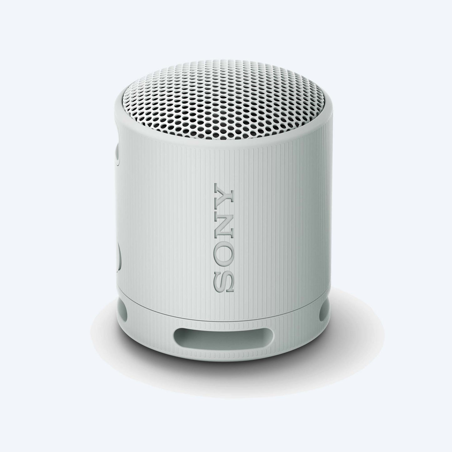 Sony SRS-XB100 Portable Wireless Speaker