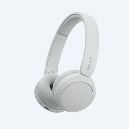 Sony WH-CH520 Wireless Headphones